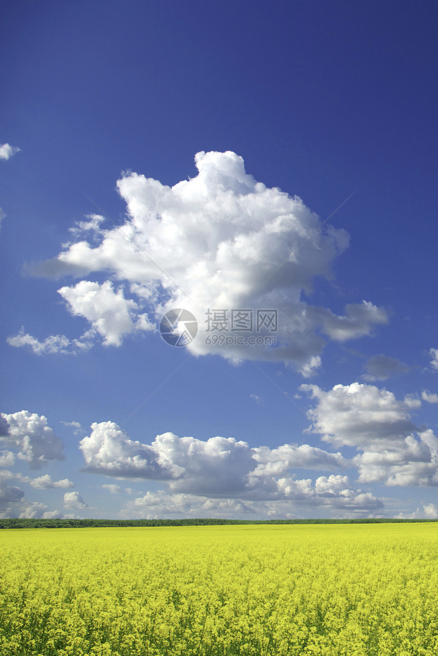 场和天空中的云图片