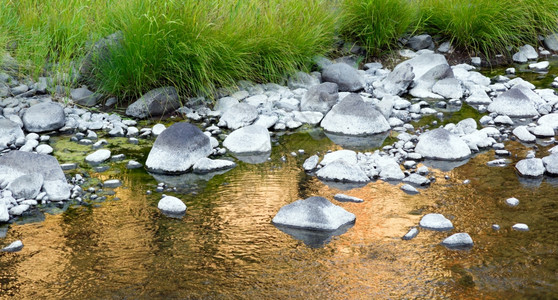 水流通过给岩石涂色使长的草地保持平淡绿图片
