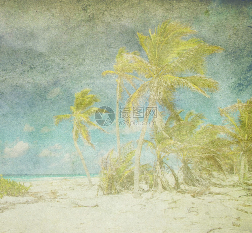 热带海滩的原始图象图片