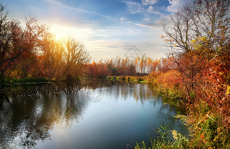 日出时平静的河流秋季图片