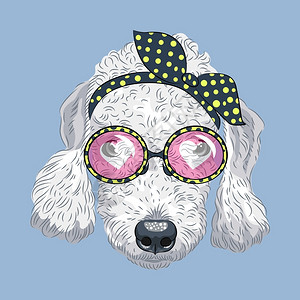 金黄猎犬头戴眼镜和头带的狗插画