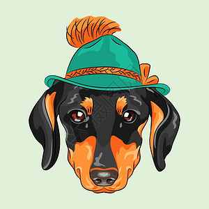 垂狗耳以绿色的土耳帽种着青绿色的土豆类帽子插画