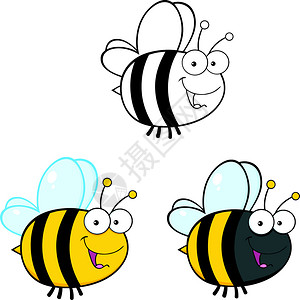 两只蜜蜂卡通可爱的蜜蜂插画