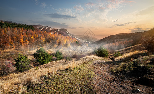 秋天山中峡谷和雾图片