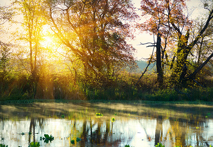 明亮的日出在森林中平静的河流上图片