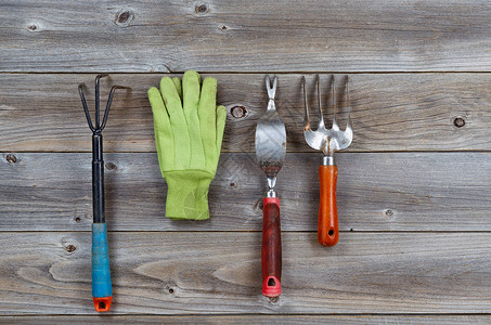 RusticWooden板上用过的花园工具和手套图片