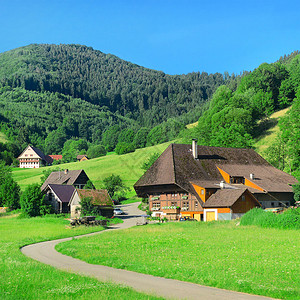 施瓦茨瓦尔德蛋糕山中的房屋背景
