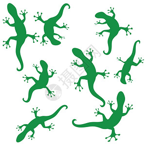 蜥蜴卡通以白色背景上的蓝绿光影图示背景
