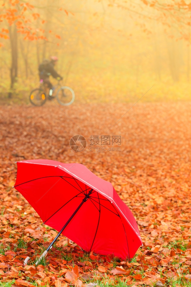 秋天概念健康活跃的生方式秋天的红伞背景图片