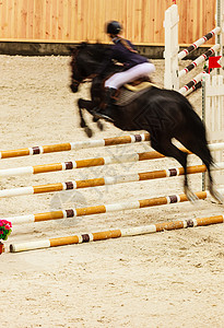 马跳跃平等赛车比跳跃骑马背景