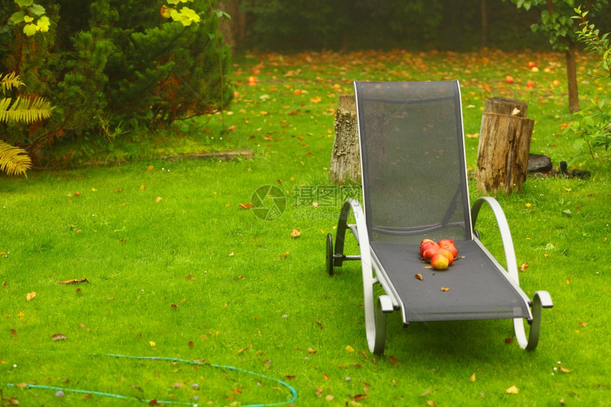 秋天花园椅子上的红苹果掉下来了图片