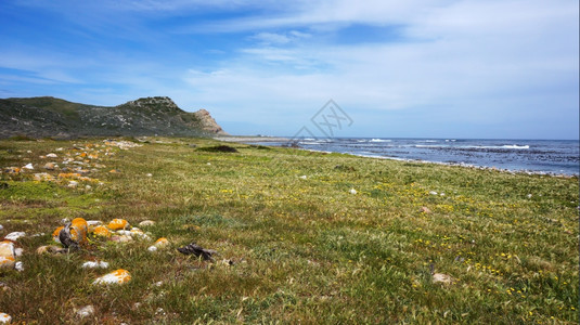 南非开普敦的表山景色公路图片