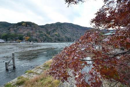 从京都亚林山的Togetsukyo桥查看图片