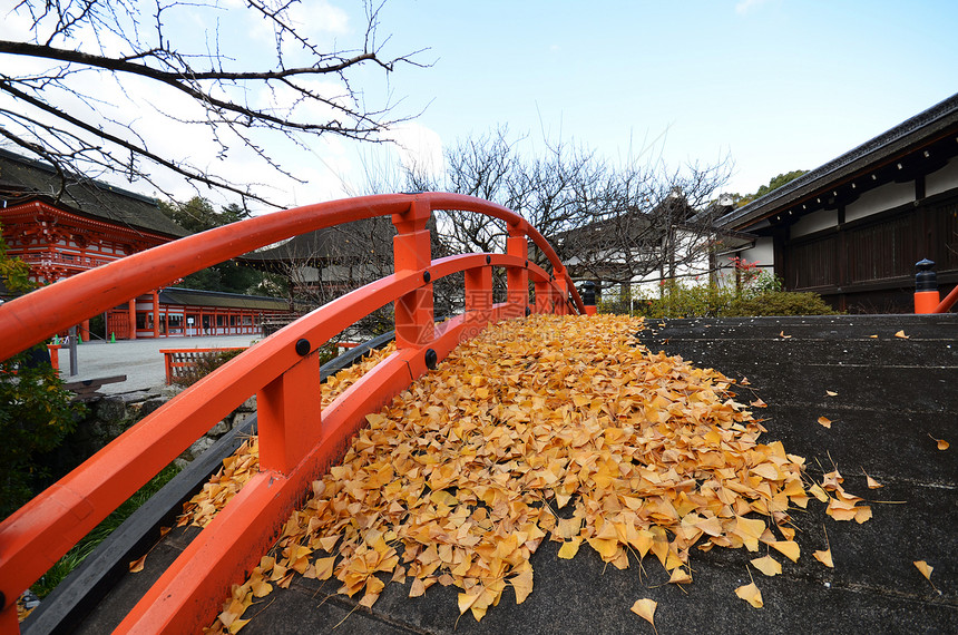 日本京都Shimogamojinja神庙桥上的黄叶图片