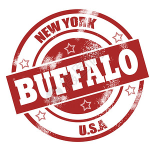 用于任何图形设计的布法罗印章图像带有hires的buffalo印章图片