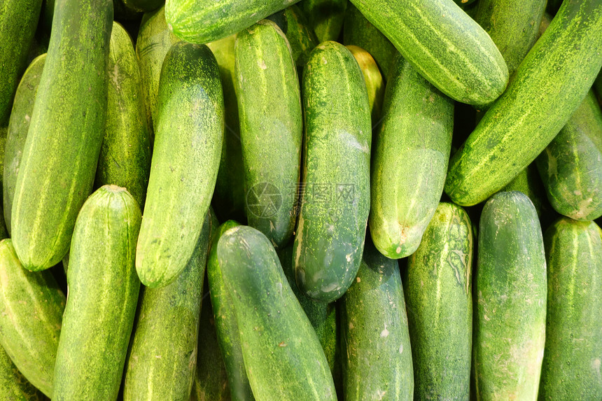 新鲜绿色黄瓜在户外市场收集新鲜绿色黄瓜在户外收集图片