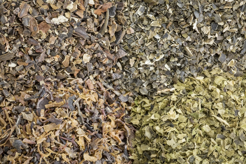 4种海藻食物补充品的背景爱尔兰苔瓦卡米海生菜和膀胱图片