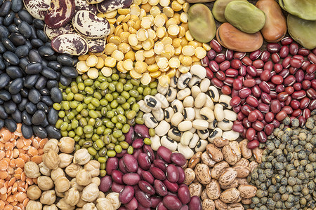 抽象的豆类各种多彩豆扁和豌的顶端视图图片