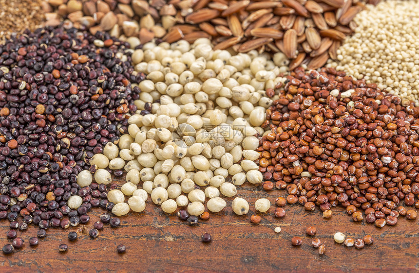高梁红和黑的quinoa和其他无糖谷物牛奶棕米小麦图片