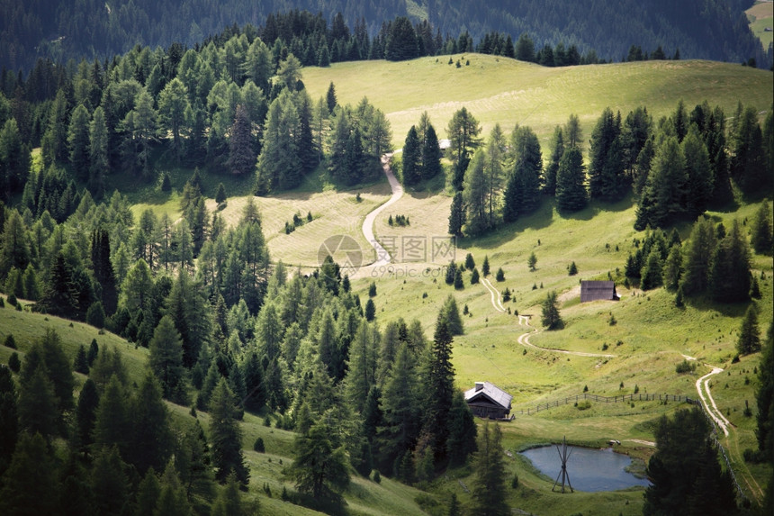 春天的阿尔卑斯山绿色谷图片