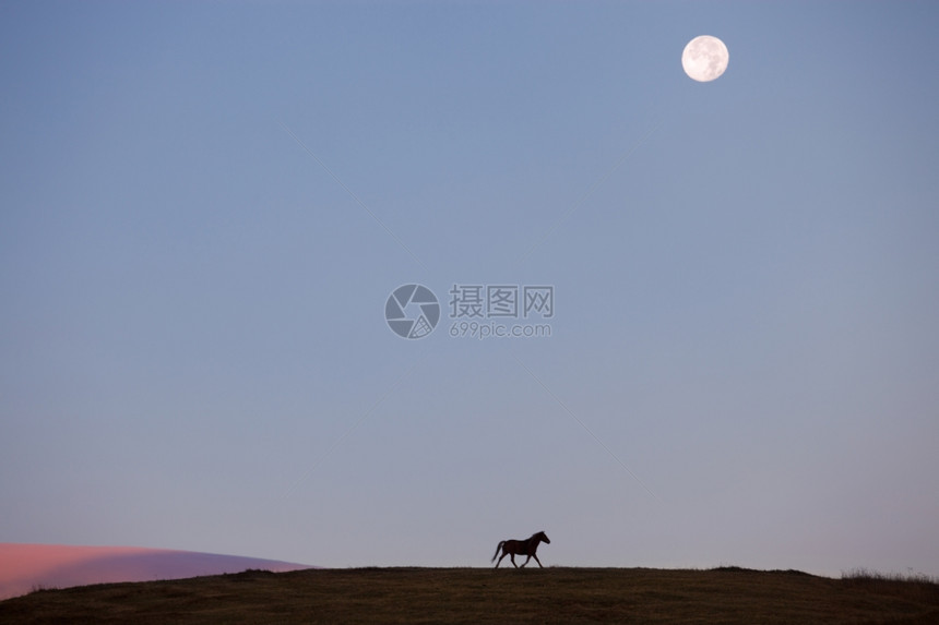 山上的月亮和马背景图片