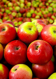 红色成熟苹果组图片