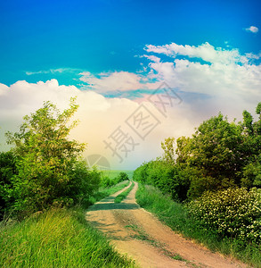 夏日风景与道路图片