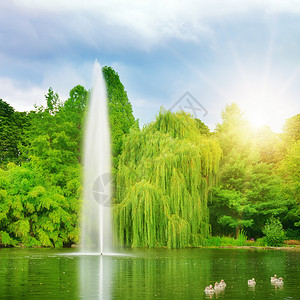 湖中的大喷泉太阳光图片