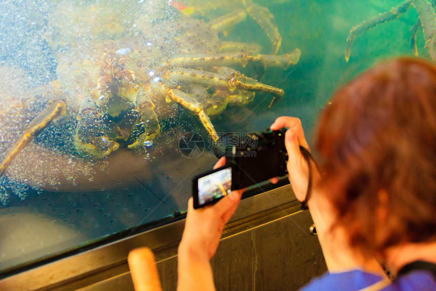 水族馆里的螃蟹女游客拍照图片