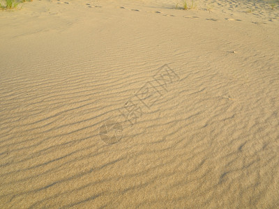 沙滩地背景图片