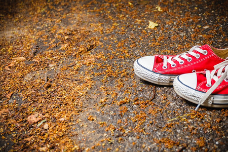 秋天在公园散步穿白色鞋带的红运动户外活图片