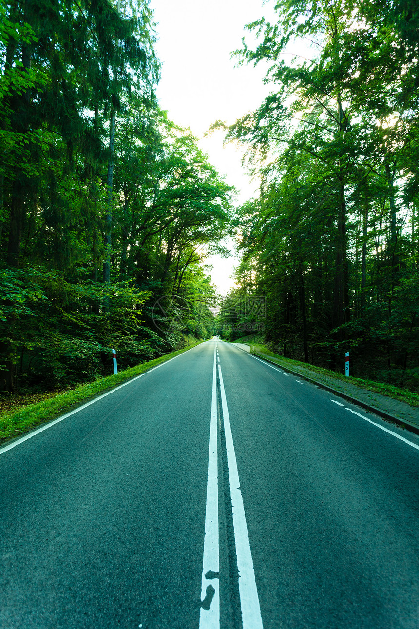 横穿绿林和阳光照的荒凉道路图片