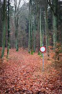 波兰秋季森林没有车辆交通标志图片