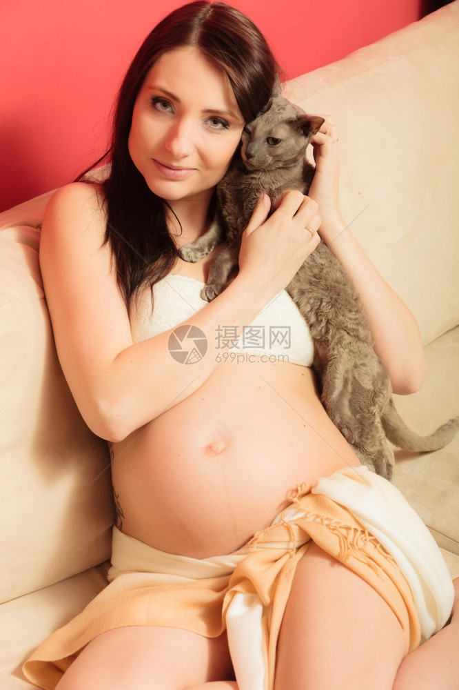 有吸引力的孕妇在沙发上放松玩猫宠物图片