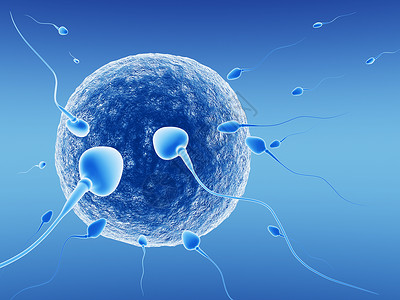 精子素材Spermatoz类和人蛋背景