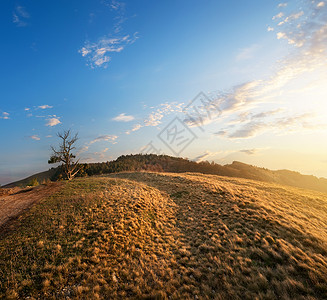 日落时山上草原的干图片