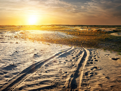 日落时在沙中自动追踪图片