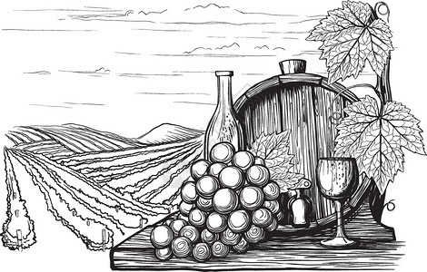 手绘黑白复古风葡萄园的葡萄酒和的罐子高清图片