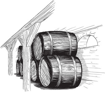 黑白商业素材手绘黑白复古风酒窖里的木桶插画
