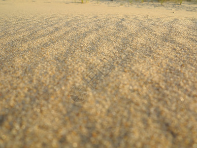 沙滩地背景背景图片
