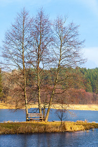 农村景象湖岸河或小岛屿的单木板凳和树户外秋天宁静的风景图片