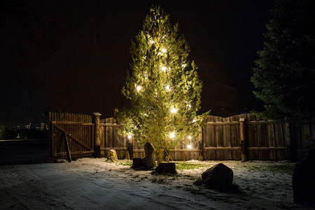 大圣诞树的外门拍摄夜间灯光装饰图片