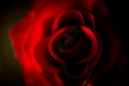 黑色背景拍摄的人工红玫瑰照片图片
