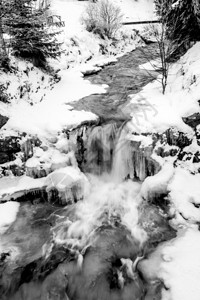 雪林高山快河的照片图片