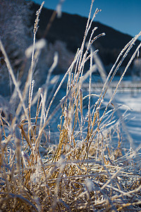 霜冻覆盖的高原农场田地美景图片