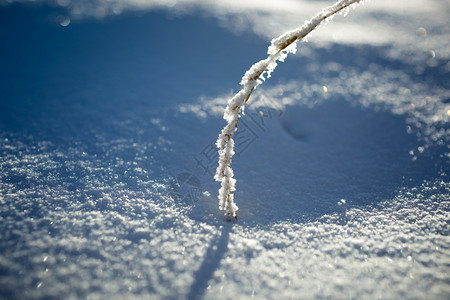 雪地滑处的近距离摄影草覆盖在豪华霜下图片
