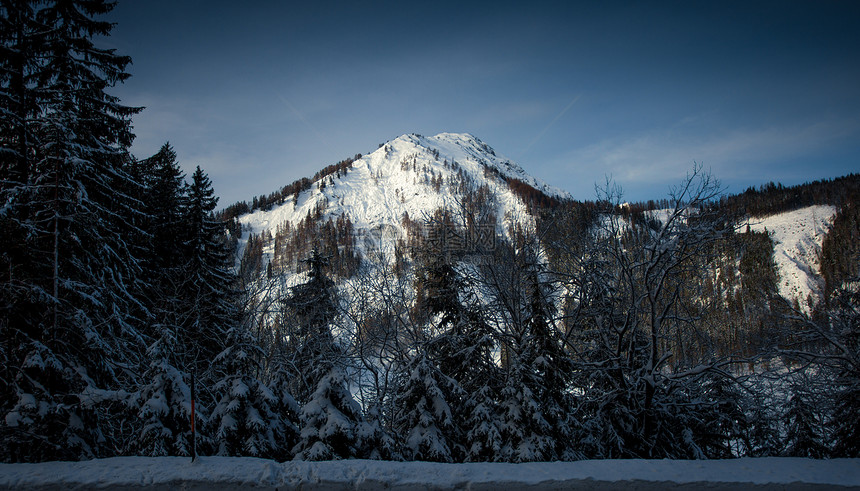 高奥地利阿尔卑斯山生长的古老黑暗森林景观图片