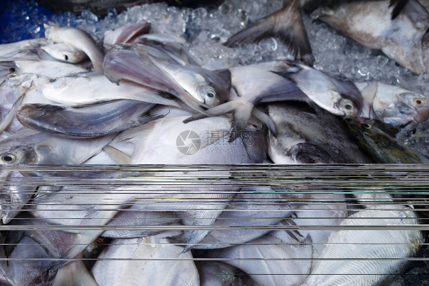 在新鲜市场销售的冰层覆盖着波夫雷特鱼群图片