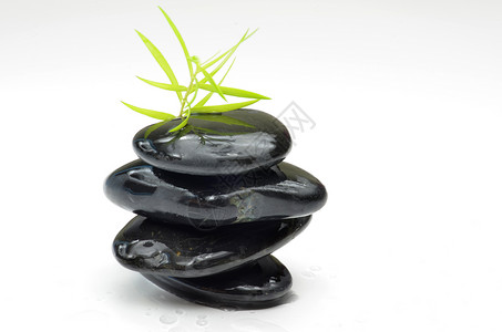 健康概念绿色黑石植物图片