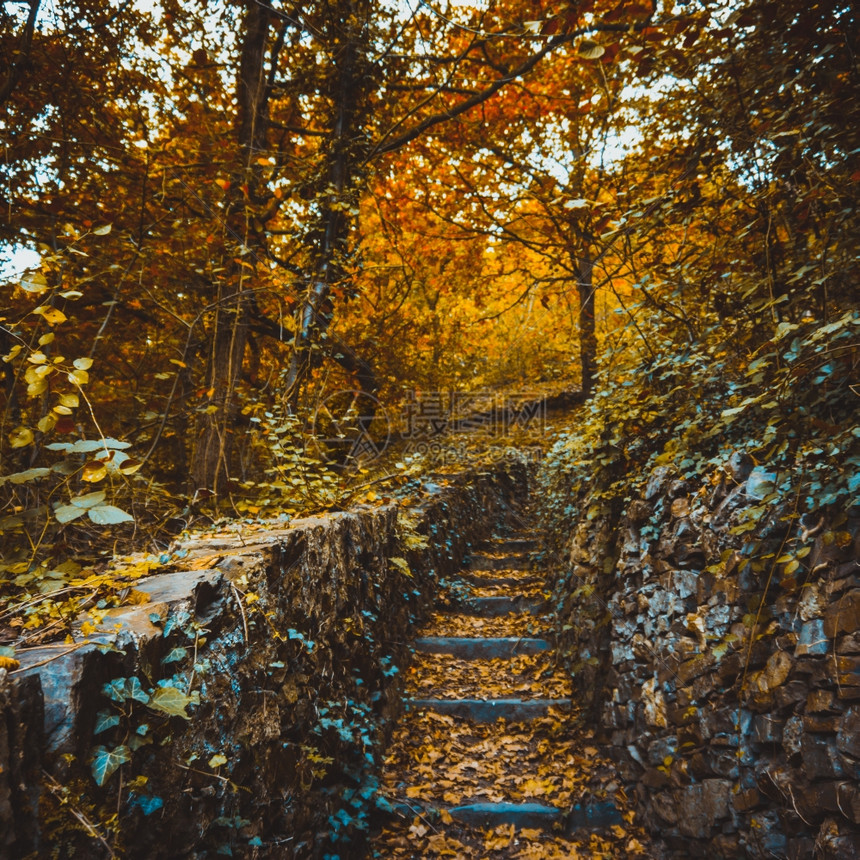 秋季风景图片